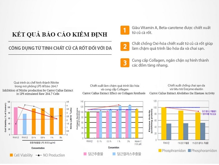 Thành phần kem dưỡng da V10 Skinaz