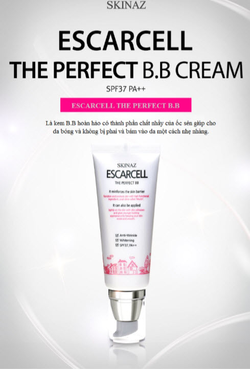 kem-nen-skinaz-escarcell-the-perfect-bb-cream